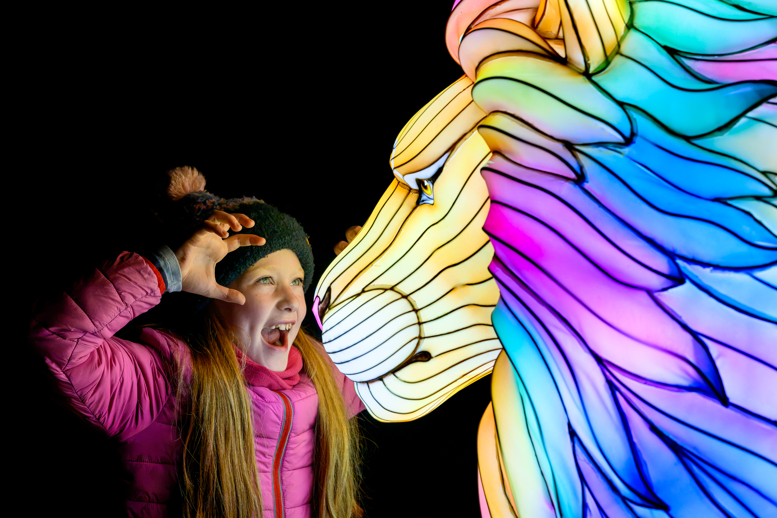 Visitor roaring at the lion lantern IMAGE Ian Georgeson 2026